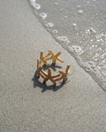 Golden Crown Starfish Bangle