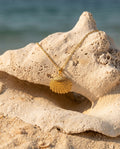 Gold Scallop Shell Necklace
