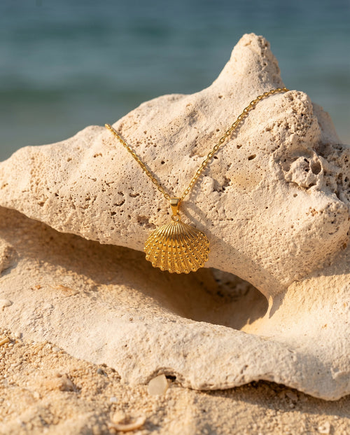 Gold Scallop Shell Necklace