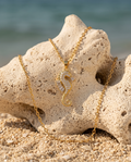Crystal Pavé Seahorse Necklace